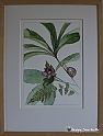 VBS_1748 - Castello di Miradolo - Mostra Oltre il giardino l'Abbecedario di paolo Pejrone
